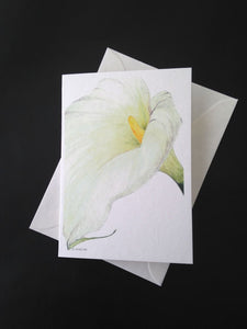 Botanical Cards - Lily
