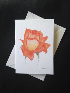 Botanical Cards - Rose