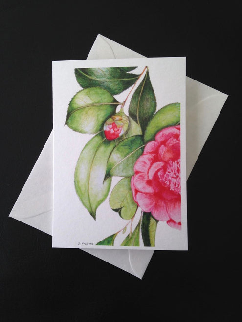 Botanical Cards - Camellia