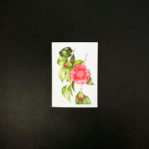 Camellia Pink Gift Card