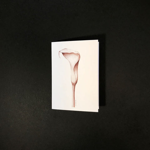 Arum Lily Graphite Gift Card
