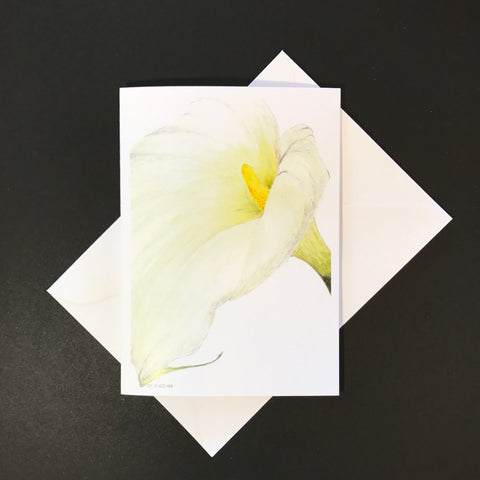 Arum Lily Close Up Greeting Card